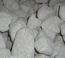 Pumice stone for use in bioscrubbers
