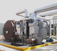 Thermal fluid heater